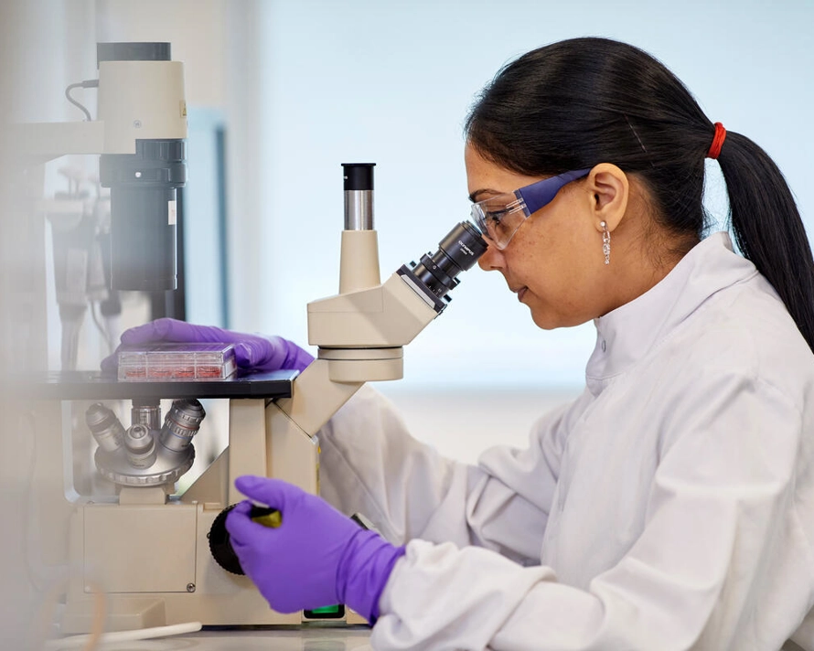 Labor - Scientist working in R&D